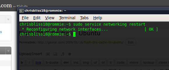 Flush DNS Cache in Ubuntu