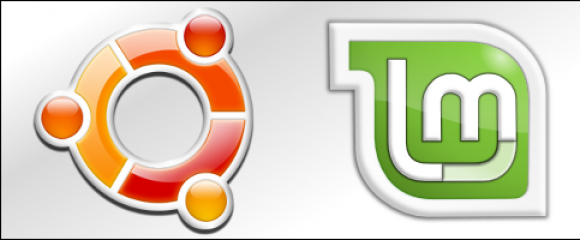 Dual Boot Ubuntu and Linux Mint with Shared /home