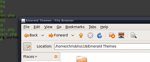 Navigate in Ubuntu Nautilus Using the Mouse Back/Forward Buttons