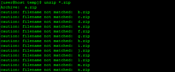 Unzip Multiple Files from Linux Command Line
